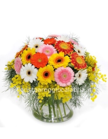 Gerbere e mimosa