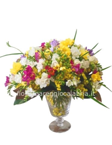 Fresie assortite e mimosa